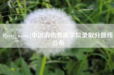陵水中国消防救援学院录取分数线公布