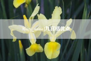 陵水九宫格优点
