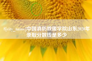 陵水中国消防救援学院山东2020年录取分数线是多少