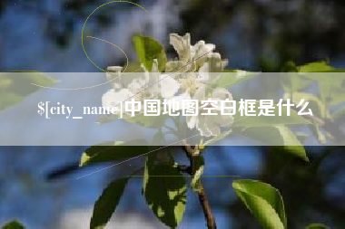 陵水中国地图空白框是什么