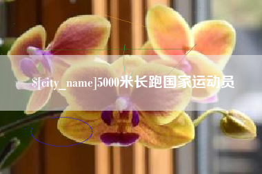 陵水5000米长跑国家运动员