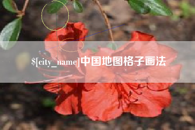 陵水中国地图格子画法