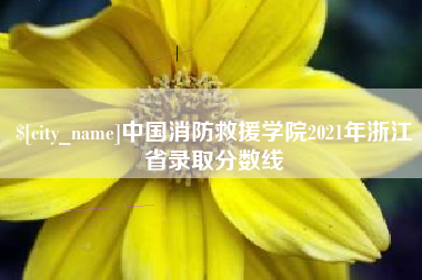 陵水中国消防救援学院2021年浙江省录取分数线