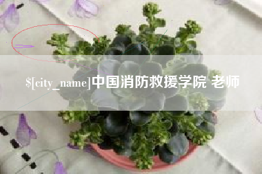 陵水中国消防救援学院 老师