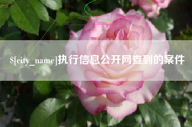 陵水执行信息公开网查到的案件