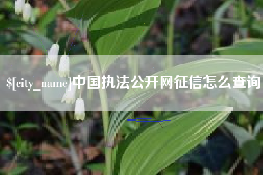 陵水中国执法公开网征信怎么查询