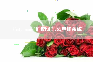 陵水消防证怎么查询系统