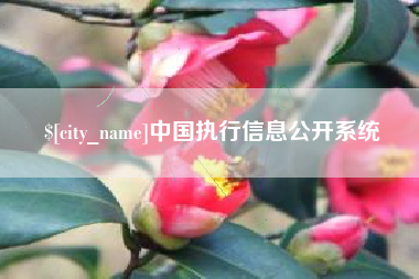 陵水中国执行信息公开系统