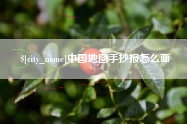 陵水中国地图手抄报怎么画