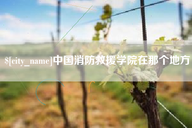 陵水中国消防救援学院在那个地方