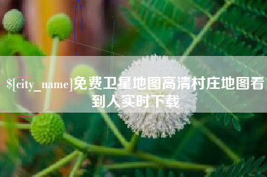 陵水免费卫星地图高清村庄地图看到人实时下载
