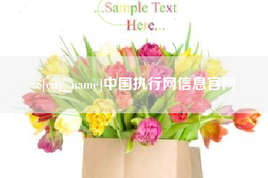 陵水中国执行网信息官网
