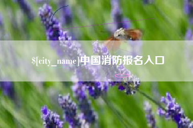 陵水中国消防报名入口