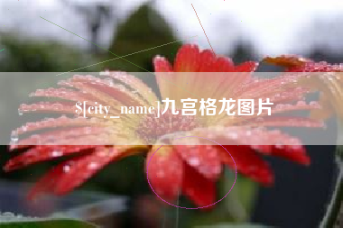 陵水九宫格龙图片