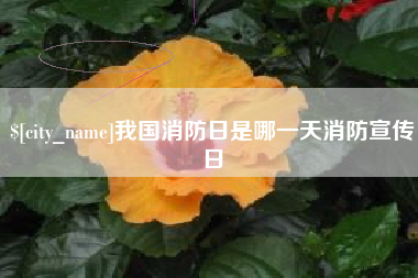 陵水我国消防日是哪一天消防宣传日