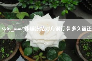 陵水诈骗冻结对方银行卡,多久返还