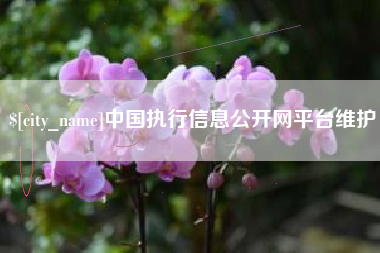 陵水中国执行信息公开网平台维护