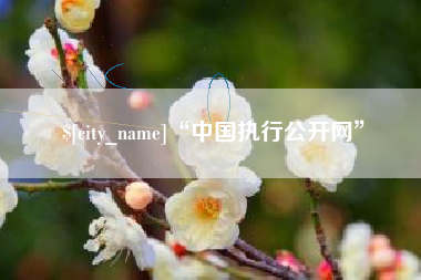 陵水“中国执行公开网”