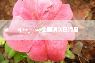 陵水全国消防日海报