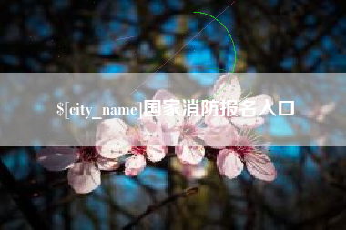 陵水国家消防报名入口
