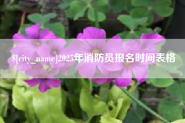 陵水2025年消防员报名时间表格