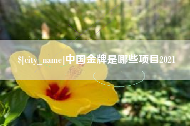 陵水中国金牌是哪些项目2021