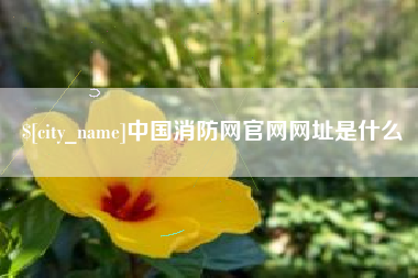 陵水中国消防网官网网址是什么