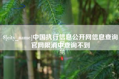 陵水中国执行信息公开网信息查询官网限消中查询不到