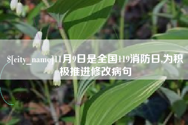 陵水11月9日是全国119消防日,为积极推进修改病句