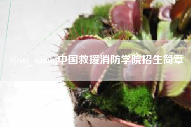 陵水中国救援消防学院招生简章