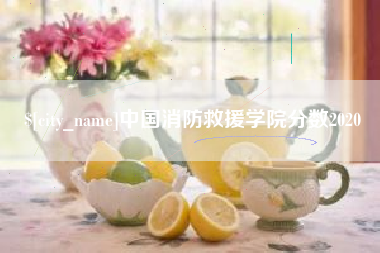 陵水中国消防救援学院分数2020
