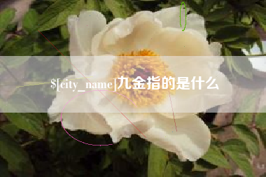 陵水九金指的是什么