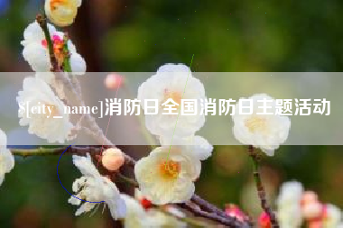 陵水消防日全国消防日主题活动