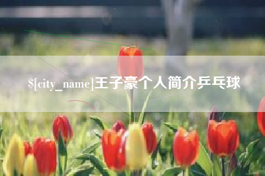 陵水王子豪个人简介乒乓球