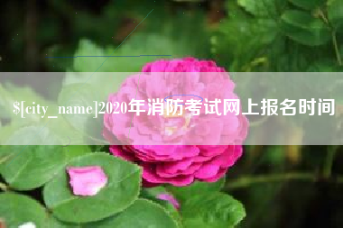 陵水2020年消防考试网上报名时间