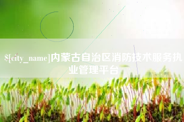 陵水内蒙古自治区消防技术服务执业管理平台