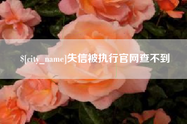 陵水失信被执行官网查不到