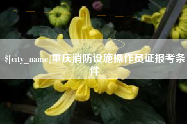 陵水重庆消防设施操作员证报考条件