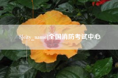 陵水全国消防考试中心