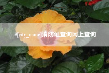 陵水消防证查询网上查询