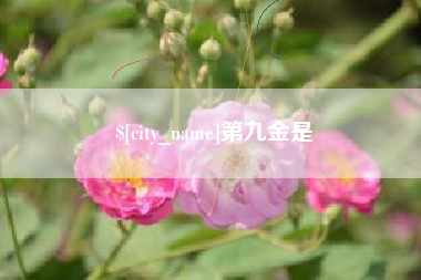 陵水第九金是