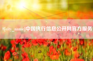 陵水中国执行信息公开网官方服务