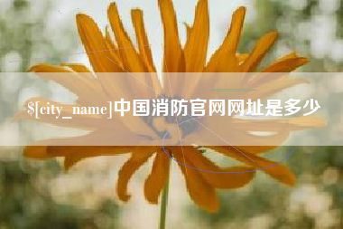 陵水中国消防官网网址是多少