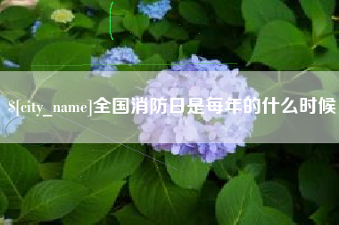 陵水全国消防日是每年的什么时候