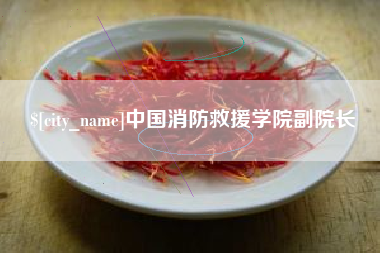 陵水中国消防救援学院副院长