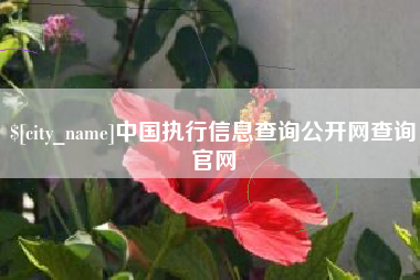 陵水中国执行信息查询公开网查询官网