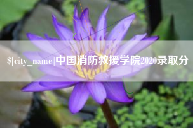陵水中国消防救援学院2020录取分