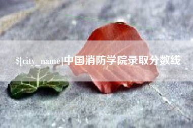 陵水中国消防学院录取分数线