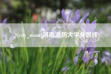 陵水河南消防大学分数线