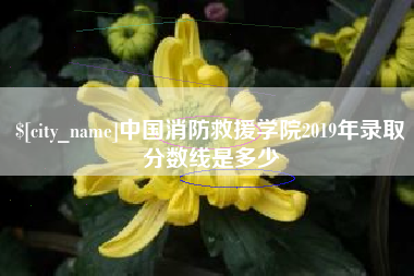 陵水中国消防救援学院2019年录取分数线是多少